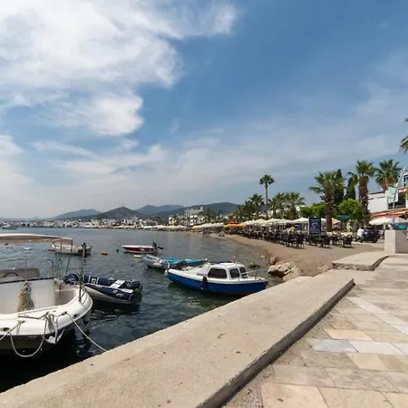 Saxe - Cozy In Bodrum